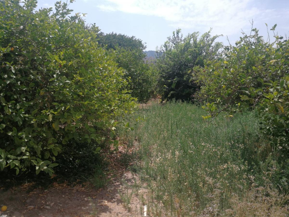 30-07-2019_IMG-20190723-WA0021 - copia.jpg